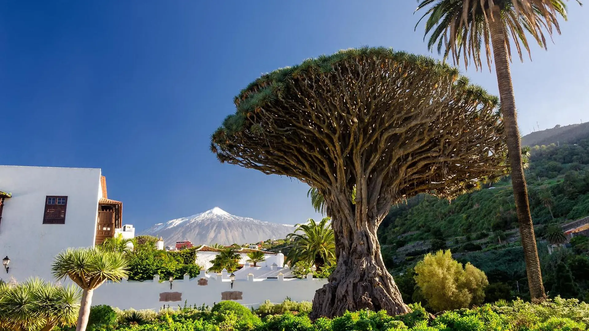 Eden Rentals Luxury La Bicuda De Abades With Pool 0*, Abades (Tenerife)